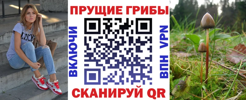Псилоцибиновые грибы прущие грибы  Каменка 
